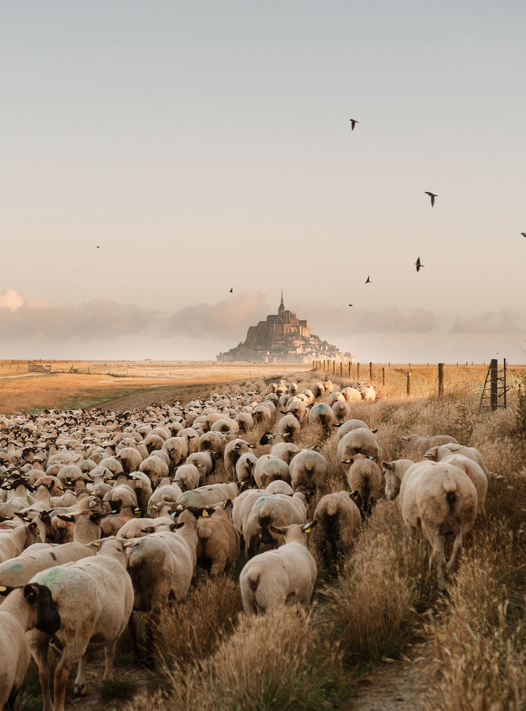 Cover Feature: A Journey Through Light and Connection - My Photography Adventure by Areli Bosson