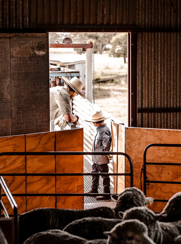 Cover Feature: Belinda Dimarzio-Bryan