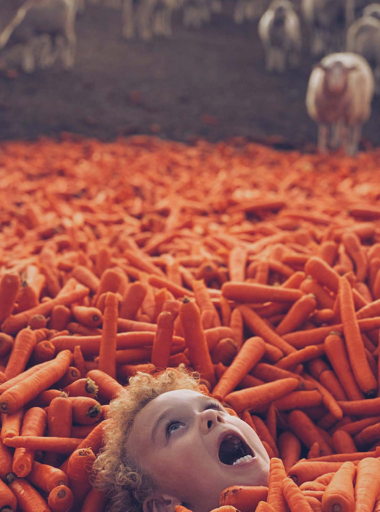 Allington Family Farm