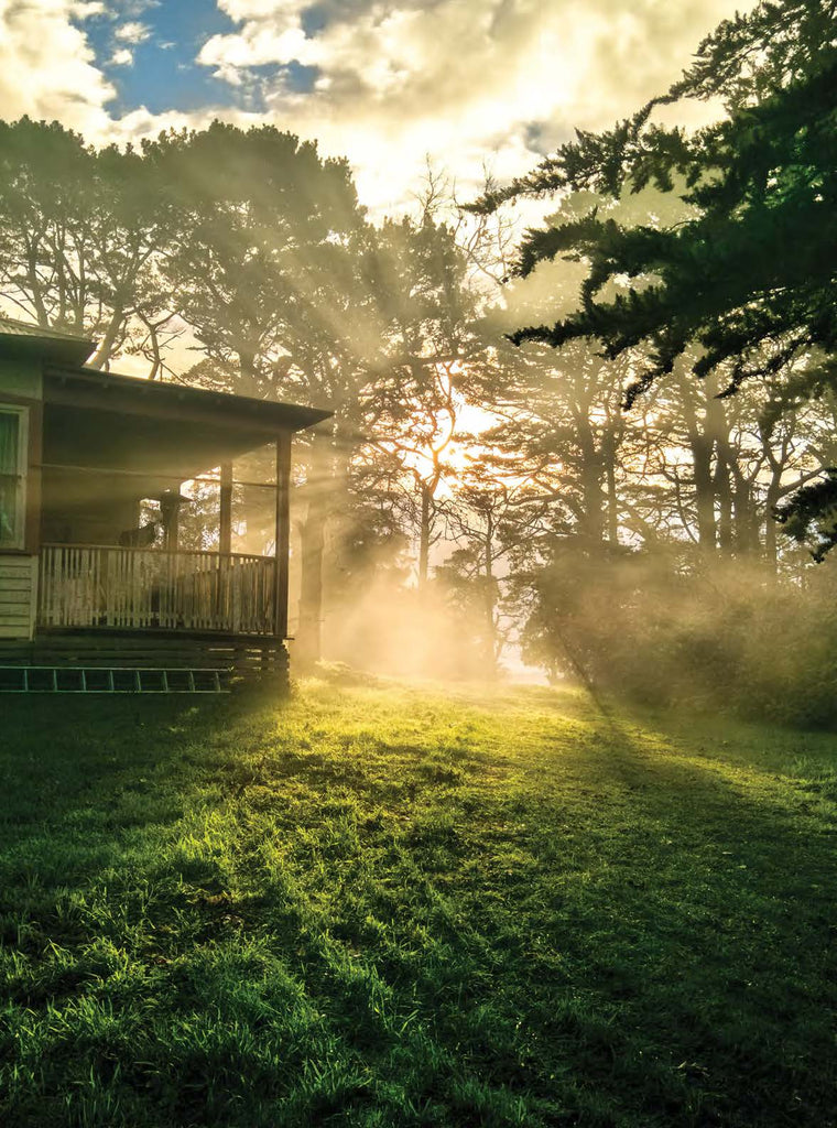 Emily Kate Photography