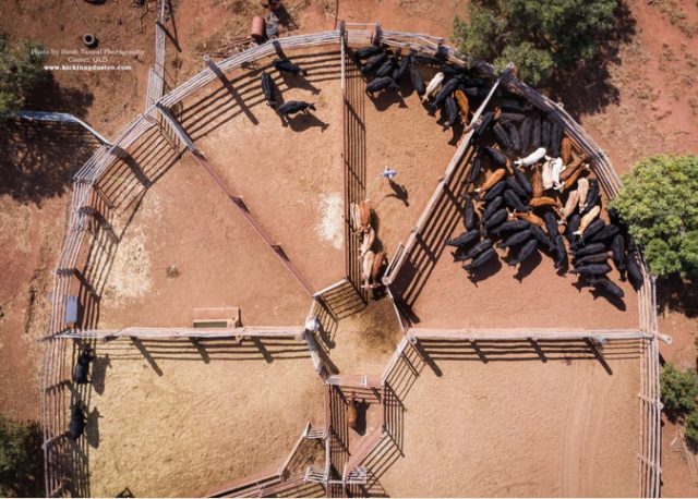 CMC Rocks Festival 2024