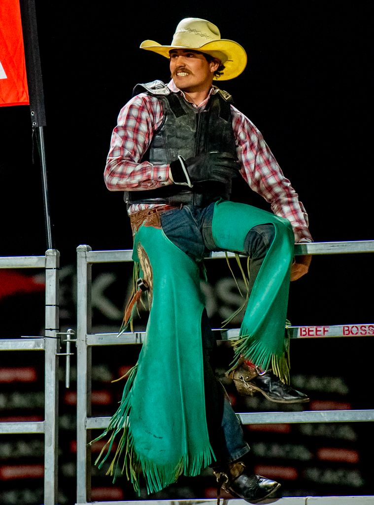 Bull Pit Bull Riding