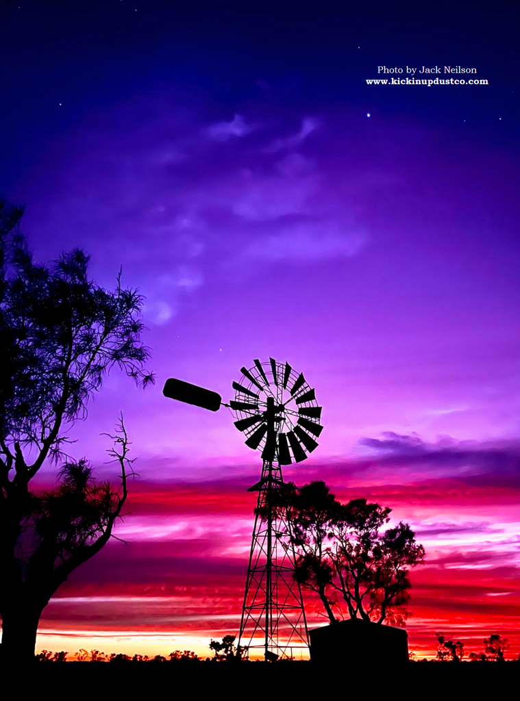 Contributor Spotlight: Issue #15