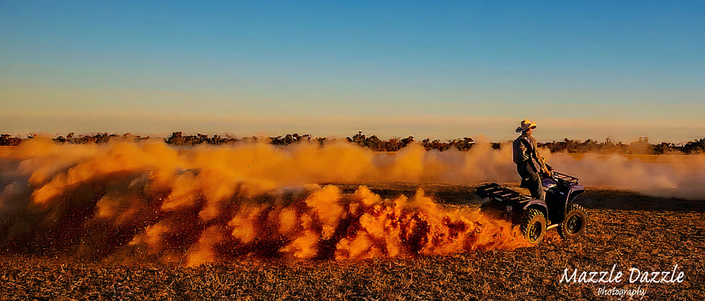 Mazzle Dazzle Photography