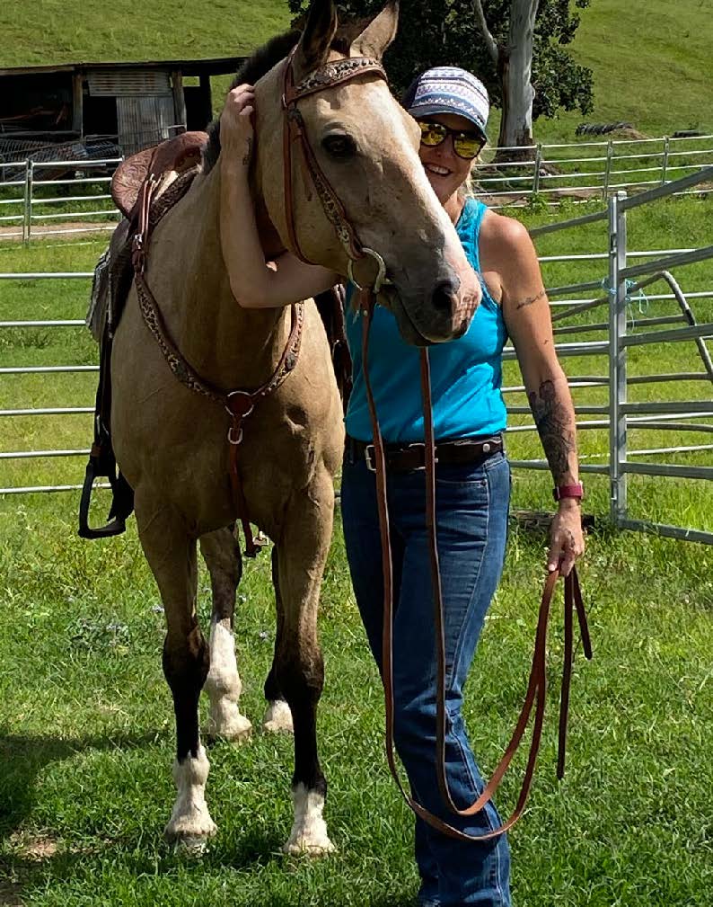 Brisbane Equine Rehoming